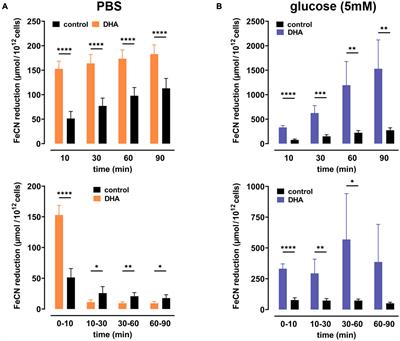 Redox Properties of Human Erythrocytes Are Adapted for Vitamin C Recycling